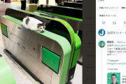 「なんで東京駅に猫いんの」改札写真に大反響も...　実はYouTuberの仕業？放置疑惑に批判の声