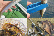 5月の美味しい釣り物！岸から狙える魚5選！