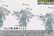 新たな変異株「ラムダ型」これまでない変異　既存のワクチン効果が弱まる可能性