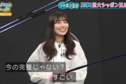 【日向坂46】KAWADAさん、不器用すぎるwwww【沼にハマってきいてみた】