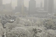 【緊急】東京、大雪警報