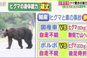 ヒグマが強すぎる。道民はよくこんなのと共存してるな・・・