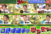 【悲報】今日放送のジョブチューンプロ野球SPのメンツ