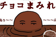 カントリーマアムチョコまみれとかいうお菓子、あまりにも美味すぎる