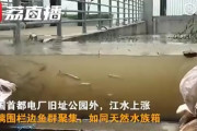 【画像】中国の道路、水族館みたいになる
