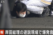 【速報】岸田首相襲撃の犯人、チー牛で確定ｗｗｗｗｗｗｗｗｗｗｗｗ