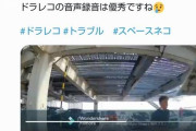 【悲報】アルファードのイキり同乗者さん、普通に停めてた隣りの車に激怒ｗｗｗｗｗｗｗｗｗ