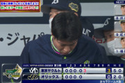 日本シリーズ見ないプロ野球選手www(オリックスヤクルト除く)