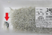 【悲報】「ちりめん」にふぐ混入 （※画像あり）
