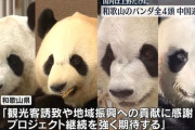 【中国】パンダ新規貸与に前向き　日本との「共同保護を歓迎」　中国外務省