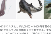 『哺乳類最強→ホッキョクグマ、鳥類最強→オウギワシ、爬虫類最強→ナイルワニ、魚類最強→？？？』