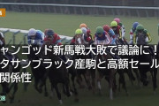 ジャンゴッド新馬戦大敗で議論に！キタサンブラック産駒と高額セールの関係性