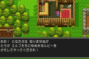 34年間生きてきて"ドラクエあるある"を1つだけ見つけた