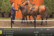 【セレクトセール】キラモサの2020（父ロードカナロア）1億4千万円で落札　他