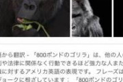 800ポンドのゴリラ。いくらなんでも面白すぎるだろ