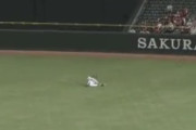 【画像】昨日の広島S-秋山の守備wtwtwwtwttwtt