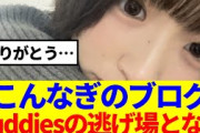 【櫻坂46】こんなぎのブログ、Buddiesの逃げ場となる…