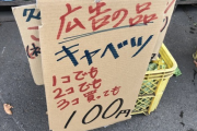 【悲報】キャベツさん、ガチで豊作すぎて3個100円で売られてしまう……