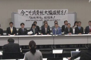 自民若手議員「おいアベ、減税か消費税ナシにせえや」