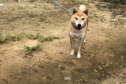 脳が混乱してバグってしまう画像が大量に集結ｗｗｗｗｗｗｗｗｗｗ