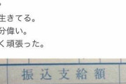 【画像】保育士の給与明細が流出　何これヤバない・・・？