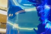 【動画】人魚さん、危うく溺死しかける