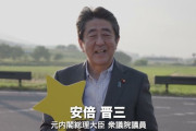 【朗報】大学時代の安倍晋三さん、黒人海兵隊と素手で殴り合っていた