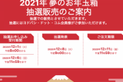 ヨドバシの福袋「2021年 夢のお年玉箱」、本日08時より抽選受付開始