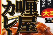 一番上手いカレーのルー教えてくれ