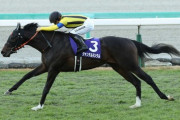 最優秀2歳牡馬ジャンタルマンタルは共同通信杯から皐月賞へ