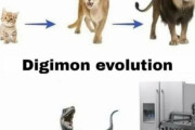 外国人「ポケモンとデジモンの進化ってこんな事になるよな・・・」