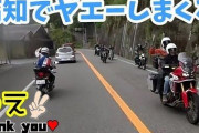 【悲報】バイク乗り始めたけど友達出来なくて草草の草ァァァ！ｗｗｗｗ