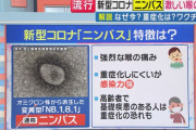 新型コロナ「ニンバス」が流行している模様