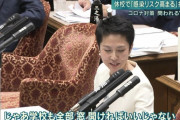 【野党第一党ｗ】立憲民主党、さらに支持率大暴落ｗｗｗｗｗｗｗｗ