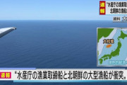 どんどん沈めちゃうべきだろうね　～　【ワロタｗ】　水産庁の船と衝突した北朝鮮の密漁船、あっけなく沈没　20人ほどが死亡か