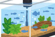 アクアリウムの水槽ヒーター故障による煮魚事故、無くならない・・・　なぜなのか