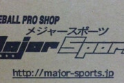 【悲報】メジャースポーツの英語圏での蔑称、日本と大差ない