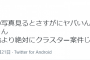 【悲報】アニ豚さん「フジロックの民度低すぎ！絶対クラスター起こす！」→アニサマ開催後w w w w w w