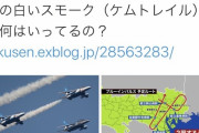 ◆コント◆医療関係者の多くが勇気をもらったというブルーインパルスに対するパヨさんの反応を御覧ください(´・ω・`)