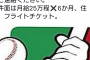 イタリアプロ野球リーグがピッチャーを募集中！お前ら急げ