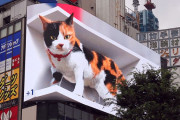 新宿駅前に猫が飛び出す巨大3Dビジョンが登場！→中国と比較するとショボすぎるとの声が殺到… |  何十年も世界から馬鹿にされても