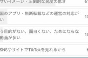 【悲報】YouTube民「『TikTok民』は本当に民度が低い、ウザいイメージ」
