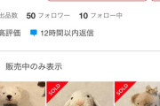 【悲報】メルカリの転売ヤー、超えちゃいけないラインを超える…　（画像あり）