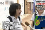 【画像】NHKでぐうかわすぎる女子高生www