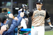 近藤健介(28) .297(428-127) 10本 66打点 86四球 出塁率.414 OPS.881