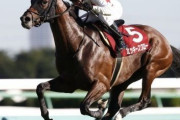 ミッキースワロー引退、種牡馬入り