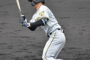 【阪神２軍】雨にも負けずルーキーコンビ躍動！ノーゲームもドラ３・井坪＆ドラ５・戸井が打点