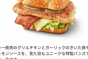 【朗報】マクドナルドのソルト＆レモンバーガー復活してるやん！