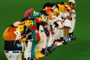 抱きつきたいプロ野球マスコット
