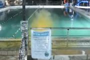 【動画】まぜるな危険。セブ島のプールで有毒ガスが発生し19人が病院へ搬送される。